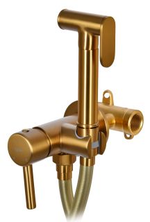 Гигиенический душ со смесителем Raiber Graceful RPG-009 золото матовое