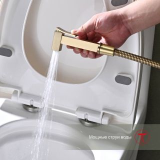 Гигиенический душ со смесителем Raglo R01.51.03 золотой сатин