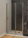 Душевая дверь Allen Brau Priority 100 3.31029.BA профиль Серебро браш