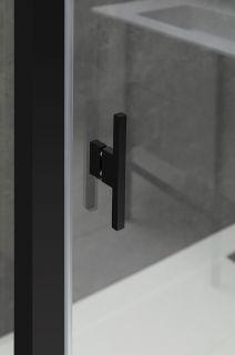 Душевая дверь Allen Brau Priority 160 3.31037.00 профиль Хром