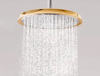 Верхний душ Hansgrohe Raindance Classic 27405090 Хром Золото