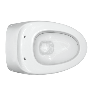 Унитаз Sanita Luxe Ringo WC.WH/Ringo/DM/WHT.G/S1 с сиденьем Микролифт