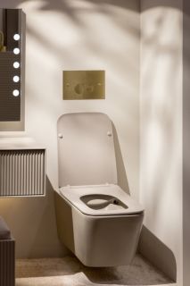 Подвесной унитаз Boheme Zen 967-SET-D безободковый daphne