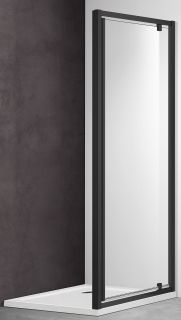 Душевая дверь Aquatek AQ ARI PI 09020BL 90см чёрный