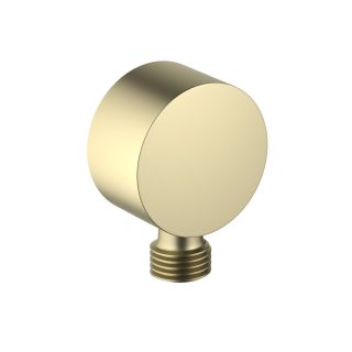 Шланговое подсоединение Aquatek AQ2457BG шлифованное золото