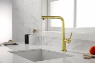 Смеситель для кухни Paulmark Neo Ne214419-BG брашированное золото