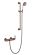 Душевой комплект Swedbe Terracotta Art 2513 бронза