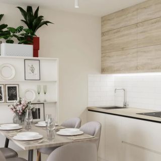 Смеситель для кухни Knotlor SS-01/1, сатин