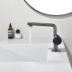 Смеситель для раковины Black&White Gravity 7207GM оружейная сталь