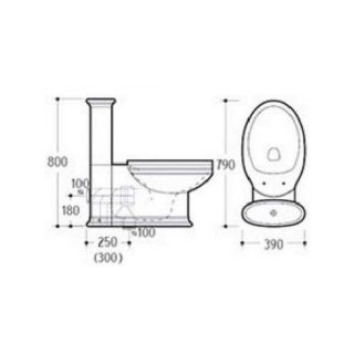 Унитаз напольный Boheme Puro белый/золото 959-G